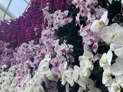 -石家庄市植物园