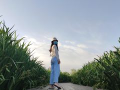 -永定河休闲森林公园