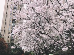 -欢乐海岸