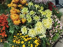 -杭州植物园