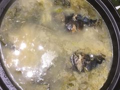 -新悦·霞浦海鲜生(上下杭店)