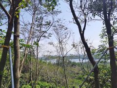 -小南山公园