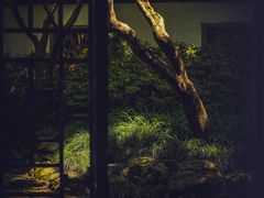 -杭州植物园