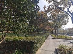 -白塘生态植物园