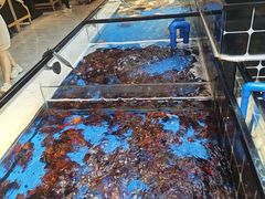 -川骄海鲜自助(河东店)
