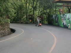 -西双版纳原始森林公园