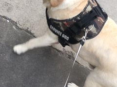 -汪说喵讲宠物乐园宠物酒店(红星美凯龙店)
