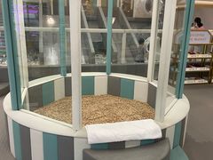 -碧中海汤泉汗蒸酒店