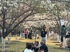 -西北湖绿化广场