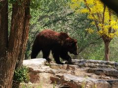 -北京野生动物园
