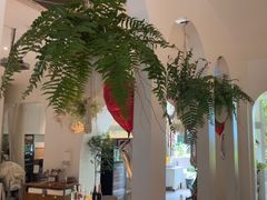 -春树下·树屋花房西餐厅(罍街AS1980店)