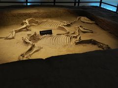 -洛阳周王城天子驾六博物馆