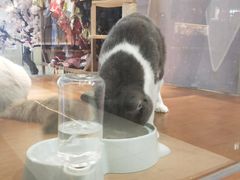 -开元盛世广场(新华北路店)
