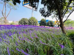 -宜家家居(高新商场店)