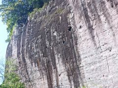 -九曲溪竹筏码头