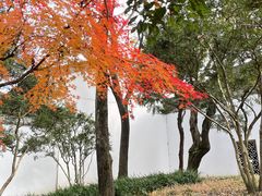 -拙政园