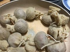 肚包肉-清真·京华源铜锅涮肉(丰庆店)