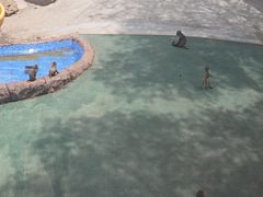 -青藏高原野生动物园