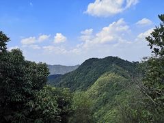 -午潮山国家森林公园