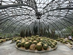 -深圳仙湖植物园