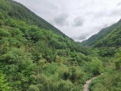 -秦岭风景区