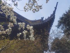 -常熟方塔园