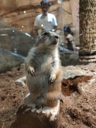 -Zoolung Zoolung动物主题公园(海信广场店)