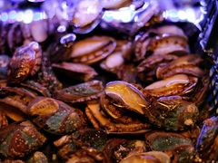 -OPEN開全日自助餐厅·西餐·海鲜(佛山希尔顿酒店)