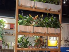 -渝信川菜 · 川味家常菜(财富购物中心店)