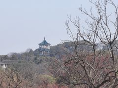 -无锡梅园公园