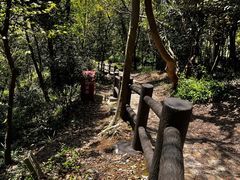 -上海佘山国家森林公园天马山园