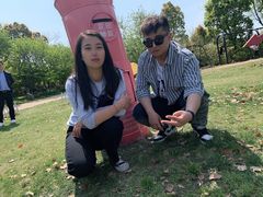 -杭州湾海上花田景区