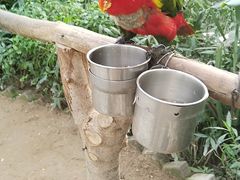 -南宫五洲植物乐园