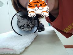 -瑞派康怡24h宠物医院·犬猫医疗中心·微创绝育(瑞景分院)