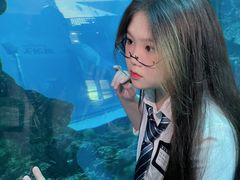 -乐从天佑城海洋馆