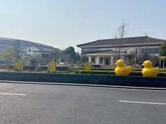 -苏州湾·王焰温泉