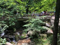 -藏龙百瀑风景区