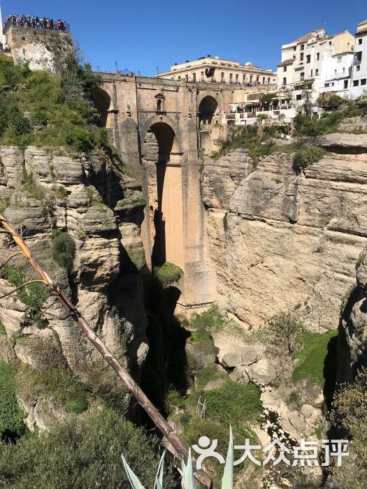 龙达新桥图片 - 第1张