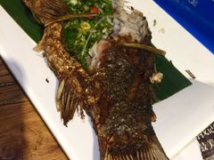 -茶花妹子云南餐厅(北大店)