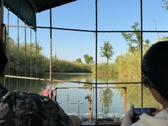-泗洪洪泽湖湿地景区