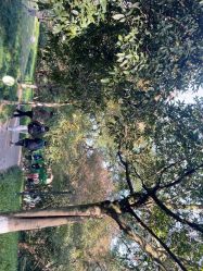 -东航云逸酒店·宴会厅