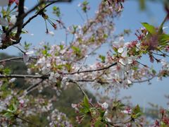 -幕燕滨江·长江观音景区