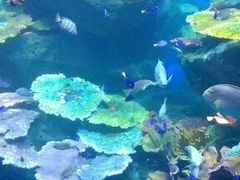 -暹罗海洋世界