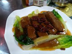 -东鸽皇(奥园·中环广场店)