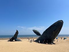 -烟台金沙滩海滨公园