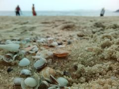 -大梅沙海滨公园