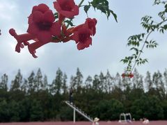-嘉北郊野公园
