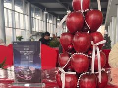 -泰州之星奔驰4S店(海陵店)