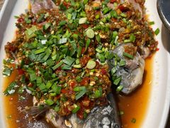 -老号尤兔头(幸福店)