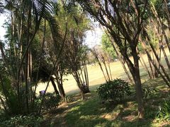 -荔香公园